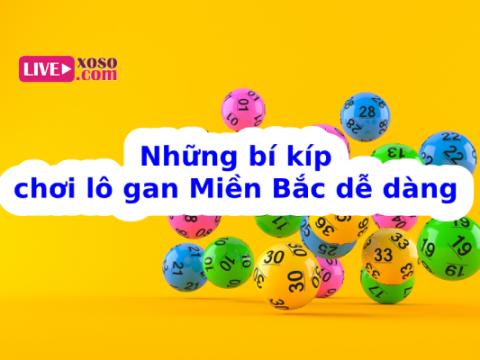 Bí kíp cách đánh lô gan Miền Bắc siêu chuẩn xác, hiệu quả